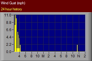 A sudden significant increase in or rapid fluctuations of wind speed. Peak wind must reach at least 16 knots (18 miles per hour) and the variation between peaks and lulls is at least 10 knots (11.5 miles per hour). The duration is usually less twenty seconds.